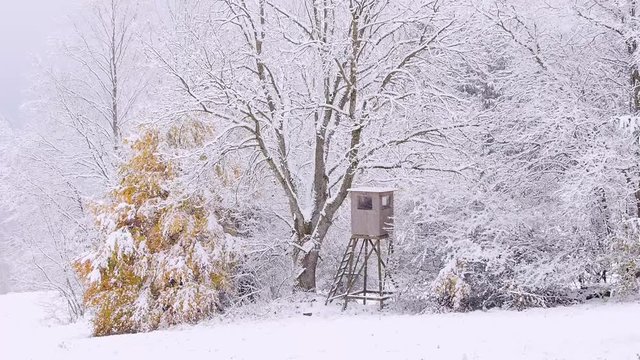 Hochstand im Winterwald