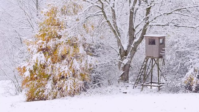 Hochstand im Winterwald