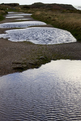Flaques d'eau /sentier 