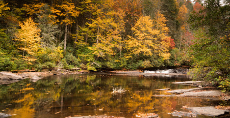 Appalachian landscape in the fall with a river and a small waterfall and colorful fall foliage