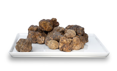 Italian white truffles