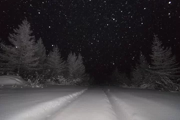 Snowscape. Landscape with forest © Olonkho
