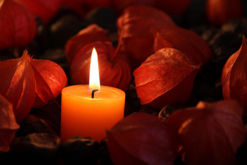 Kerze brennt zwischen Lampionblumen