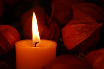 orange Kerze brennt zwischen Lampionblumen, Herbstdekoration