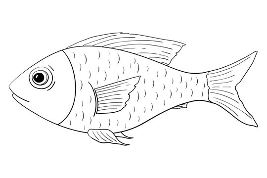 Fish. Outline doodle
