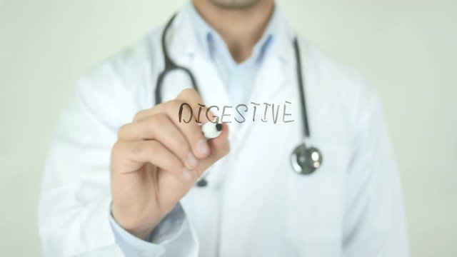 Digestive system , Doctor Writing On Transparent Screen