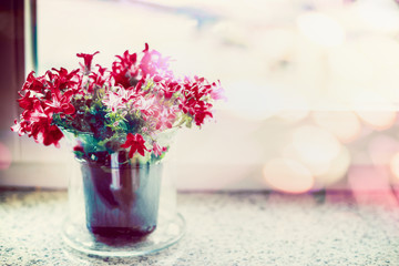 Red flowers in flowers pot on window sill with sprig lighting and bokeh