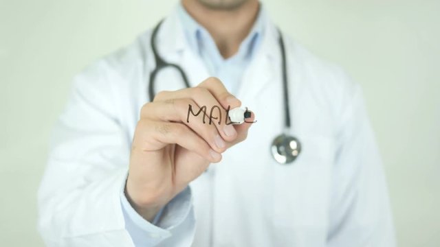 Male Reproductive System&nbsp; , Doctor Writing On Transparent Screen
