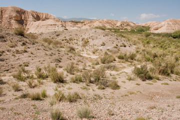 Fototapeta na wymiar Dry land, small bushes of mountain plateau
