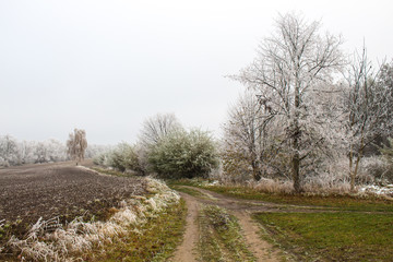 Beautiful autumn landscape with white frost on the trees