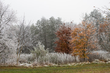 Beautiful autumn landscape with white frost on the trees