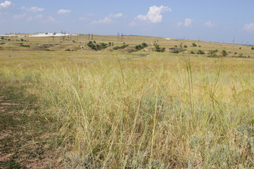 Nature Monument -Kamyshinskye Mountain Ears.