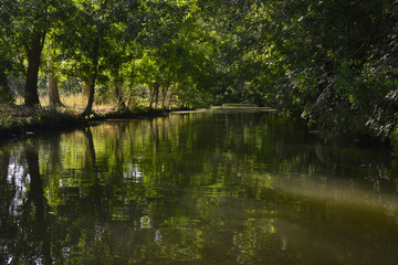 Profondeur des marais des Marais Poitevin à Damvix (85420), département de la Vendée en région...