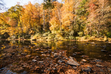 mountain river and colorful trees in the Appalachian mountains of western North Carolina