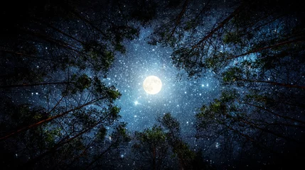Fotobehang Mooie nachtelijke hemel, de Melkweg, de maan en de bomen. Elementen van deze afbeelding geleverd door NASA. © Tryfonov