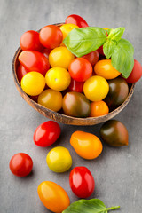 Tomatoes on the gray background. Colorful tomatoes, red tomatoes