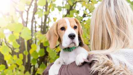 Junge Frau mit ihrem Hund.