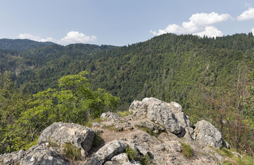 Fototapeta na wymiar View over Julian Alps from mountain Osojnica in Bled