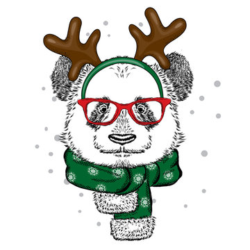 Funny panda wearing glasses and with horns. Bear in deer costume. Vector illustration for a card or poster, print on clothes. New Year's and Christmas.
