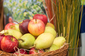 Obstkorb mit verschiedenen Sorten