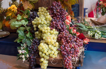 Rote und weisse Weintrauben 