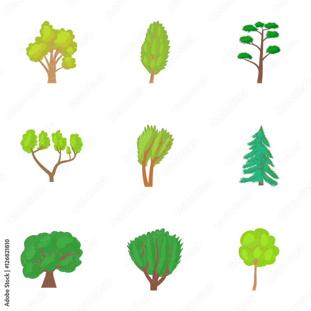 Poster varieties of trees icons set. cartoon illustration of 9 varieties of trees vector icons for web