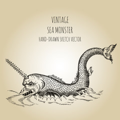 Mythological vintage sea monster. Fragment of old pirate map