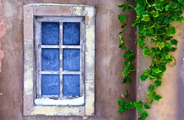 Window with frost patterns