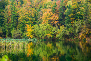 Autum forest lake Kozjak in Plitvice National Park