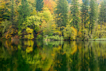 Fototapeta na wymiar Autum forest lake Kozjak in Plitvice National Park