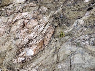 Surface of rock. Stone background