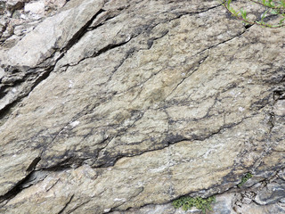 Surface of rock. Stone background