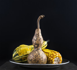 Two pumpkins and a corn © pirke