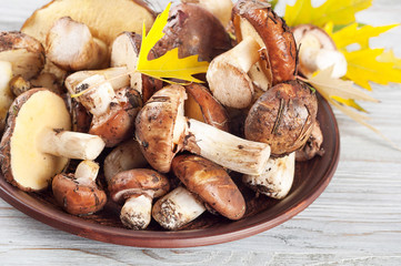 Mushrooms in plate