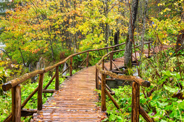 Wooden tourist path in Plitvice lakes national park
