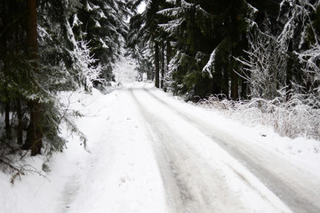 Winter Landscape - road covered by snow, sleigh ride