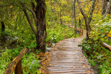 Wooden tourist path in Plitvice lakes national park