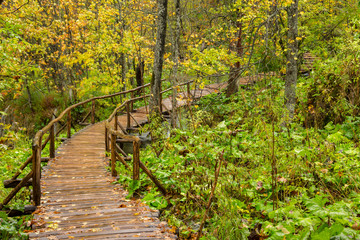 Wooden tourist path in Plitvice lakes national park