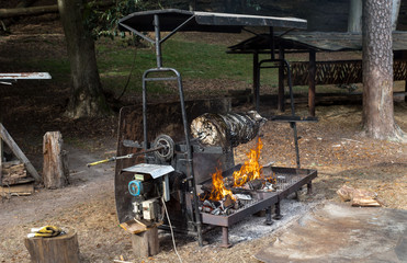 Wildschwein am Grill