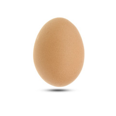 Single brown chicken egg isolated on white
