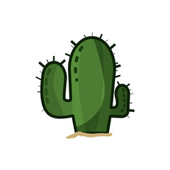 Cactus natural plant icon vector illustration graphic design