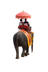 Naklejka premium Tourists on an ride elephant tour of the ancient city isolated on white background with clipping path..