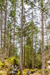 Obraz premium bayern