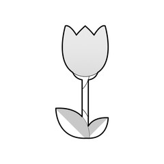 flower floral beauty icon vector illustration graphic design