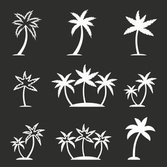 Palm tree icon set.