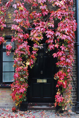 Autumn house in London 