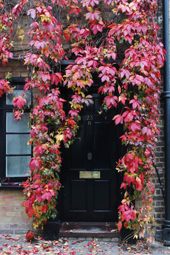 Autumn House In London 