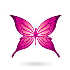 Colorful Butterfly Illustration