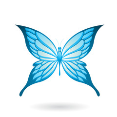 Colorful Butterfly Illustration