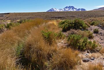 Altitude Desert View